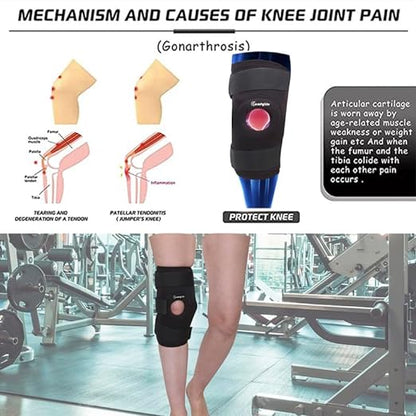 COMFYLIFE Knee Support for Men & Women - Hinged Knee Brace for Knee Pain & Ligament Tear - Knee Caps for Women & Men – Knee Belt for Gym Workout, Running & Arthritis –  Large